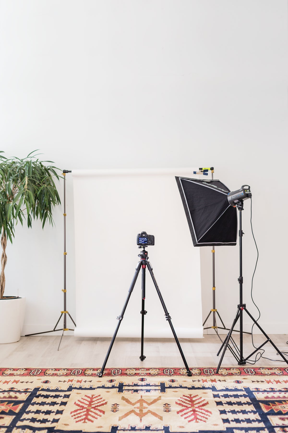 Creative Business Incubator: The Business of Photography